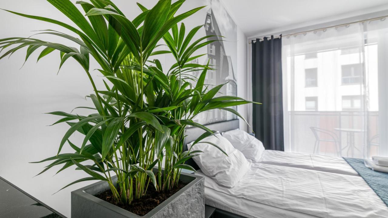 Huoneisto Maya's Flats & - Walowa 25